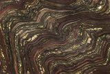 Polished Tiger Iron Stromatolite Slab - Billion Years #261984-1
